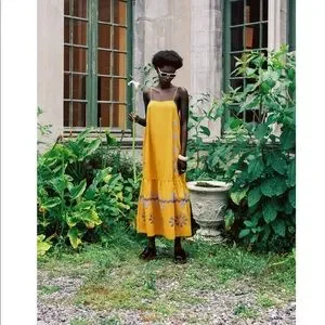 ZARA NWT LIMITED EDITION EMBROIDERED DRESS